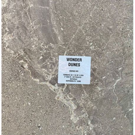RETT WONDER DUNES