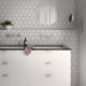 RAY WHITE HEXA