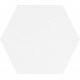 RAY WHITE HEXA