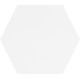 RAY WHITE HEXA